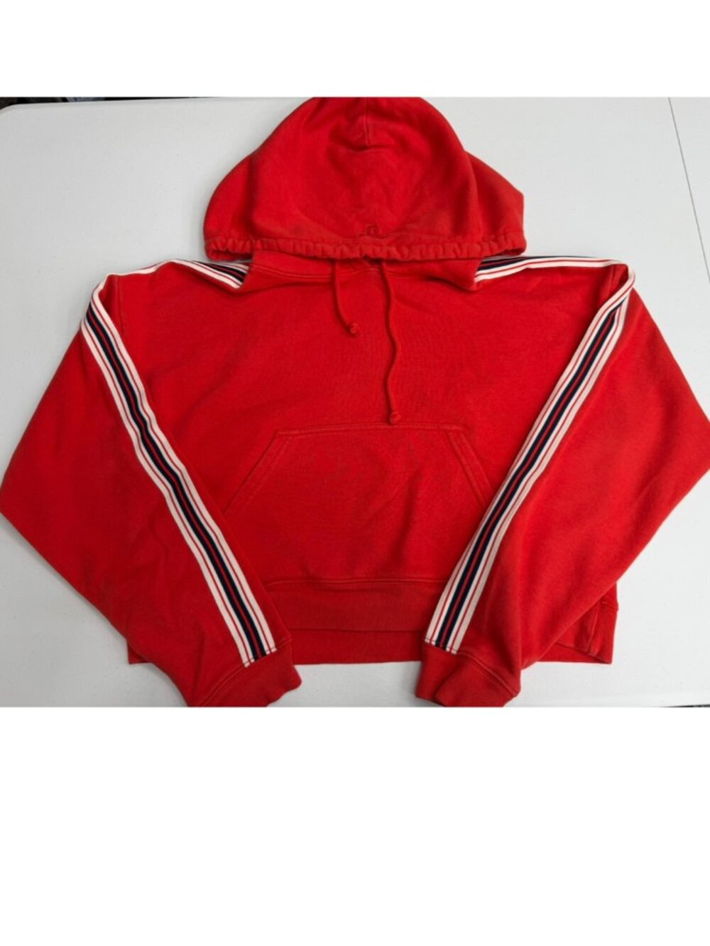 Aritzia Cropped Hoodie